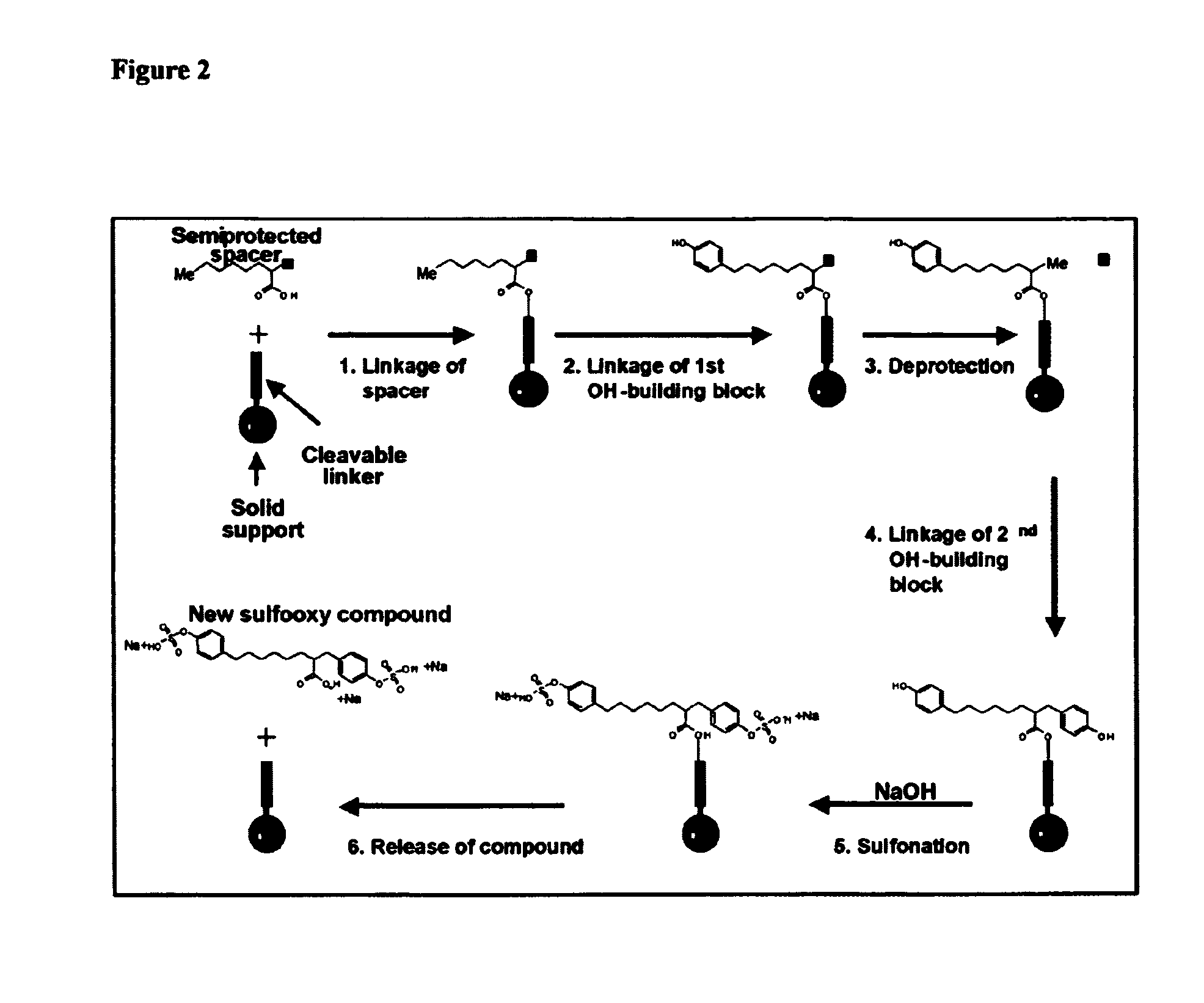 Generation of combinatorial synthetic libraries and screening for proadhesins and nonadhesins