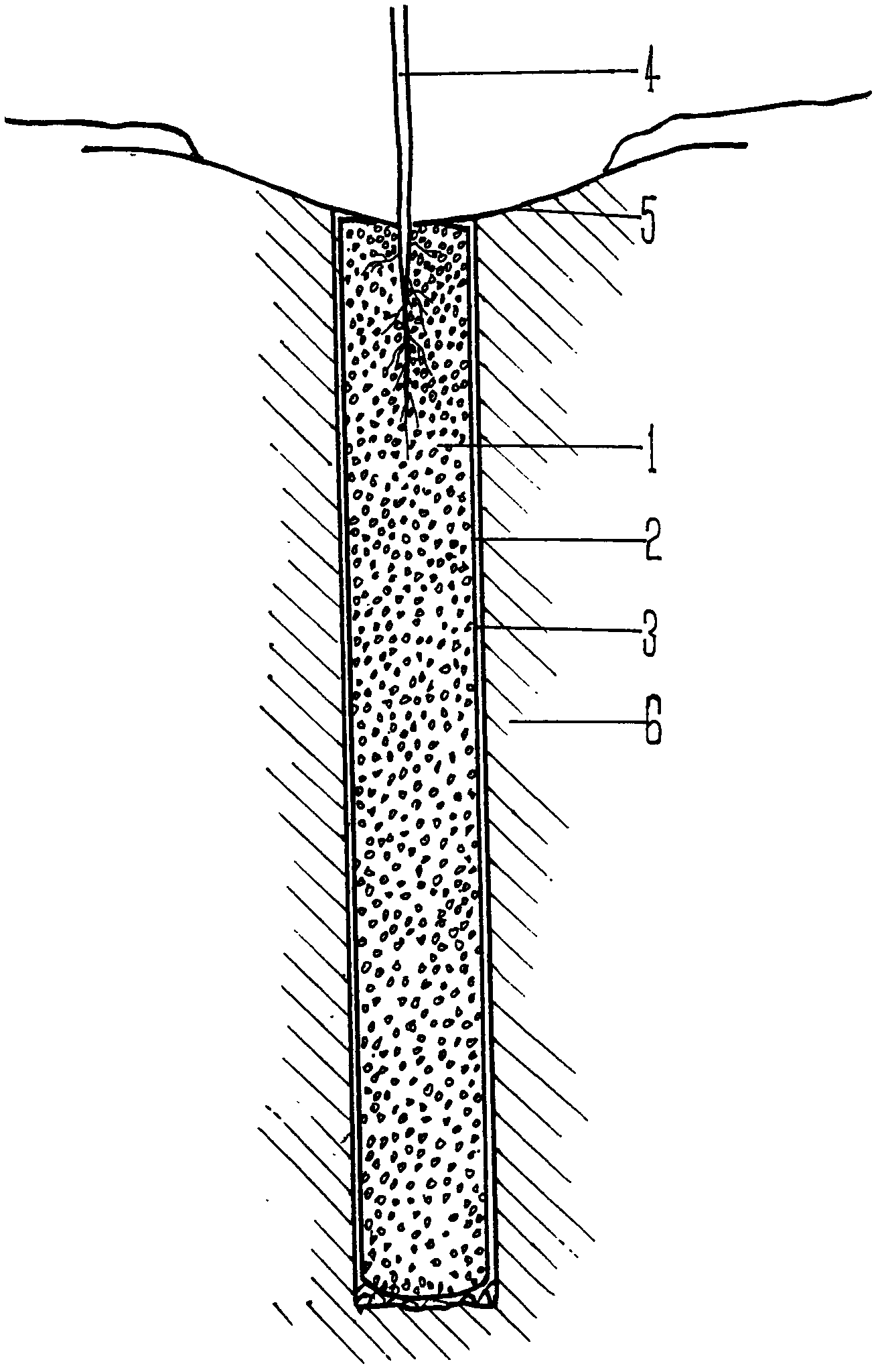 Deep-hole cave SAP resin mixed nutritive soil base guide root system arid land tree planting technology