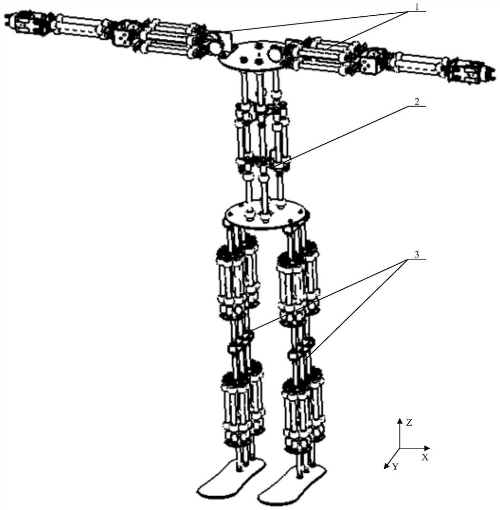 Profiling robot system based on pneumatic muscles