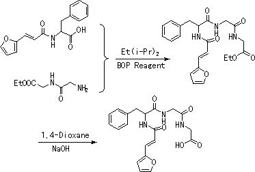 Preparation method of FAPGG