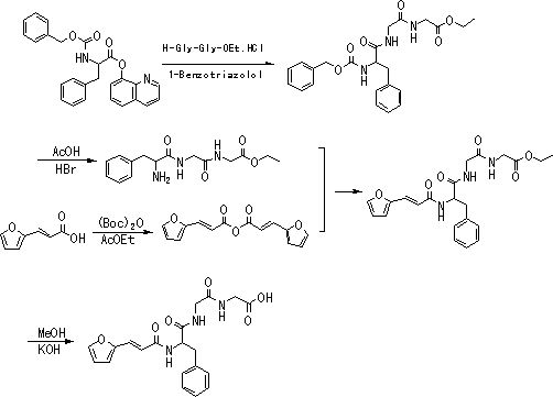 Preparation method of FAPGG