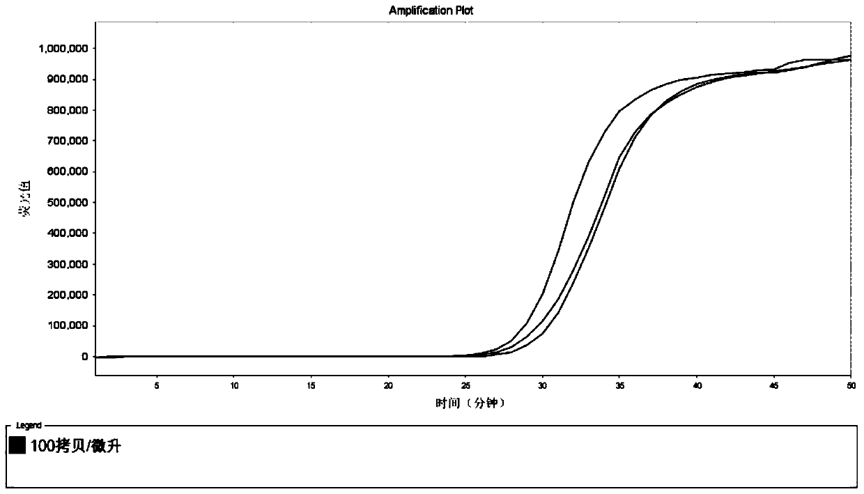 LAMP primer set, kit and detection method for IMP resistance gene resistant to carbapenem antibiotics