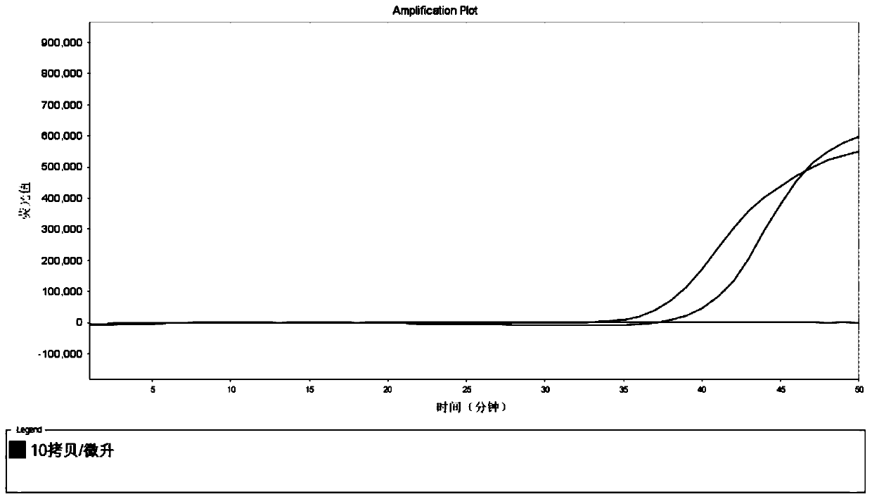 LAMP primer set, kit and detection method for IMP resistance gene resistant to carbapenem antibiotics