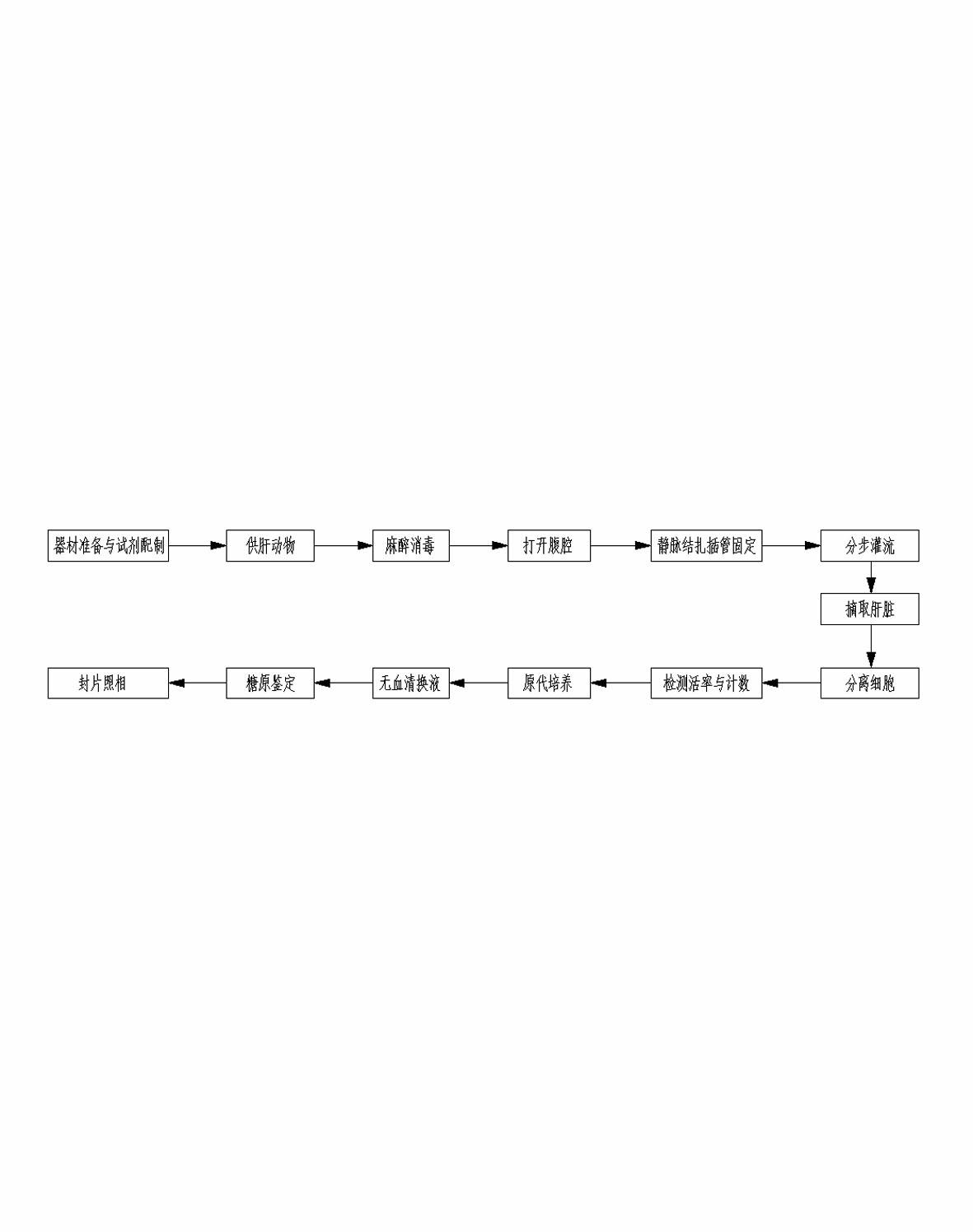 Method for separating, culturing and identifying primary hepatic cells of livestock and fowl