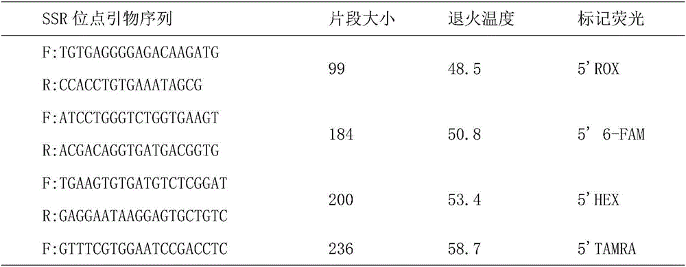 A Method for Individual Breeding Value Assessment of Random Populations of Turbot