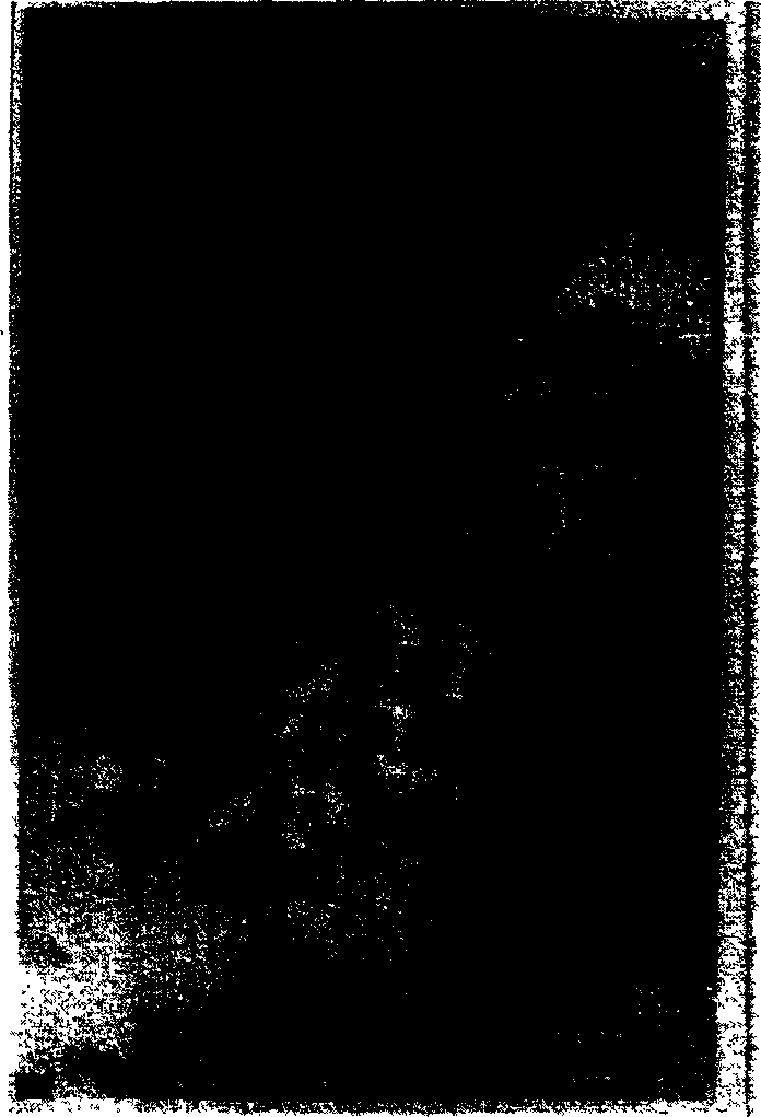 Method of preparing nanometer magnesium oxide using uniform precipitation-supercritical carbon dioxide drying method