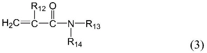 Seed polymer and its stabilizer and method for preparing water-in-water cationic polyacrylamide copolymer dispersion using both