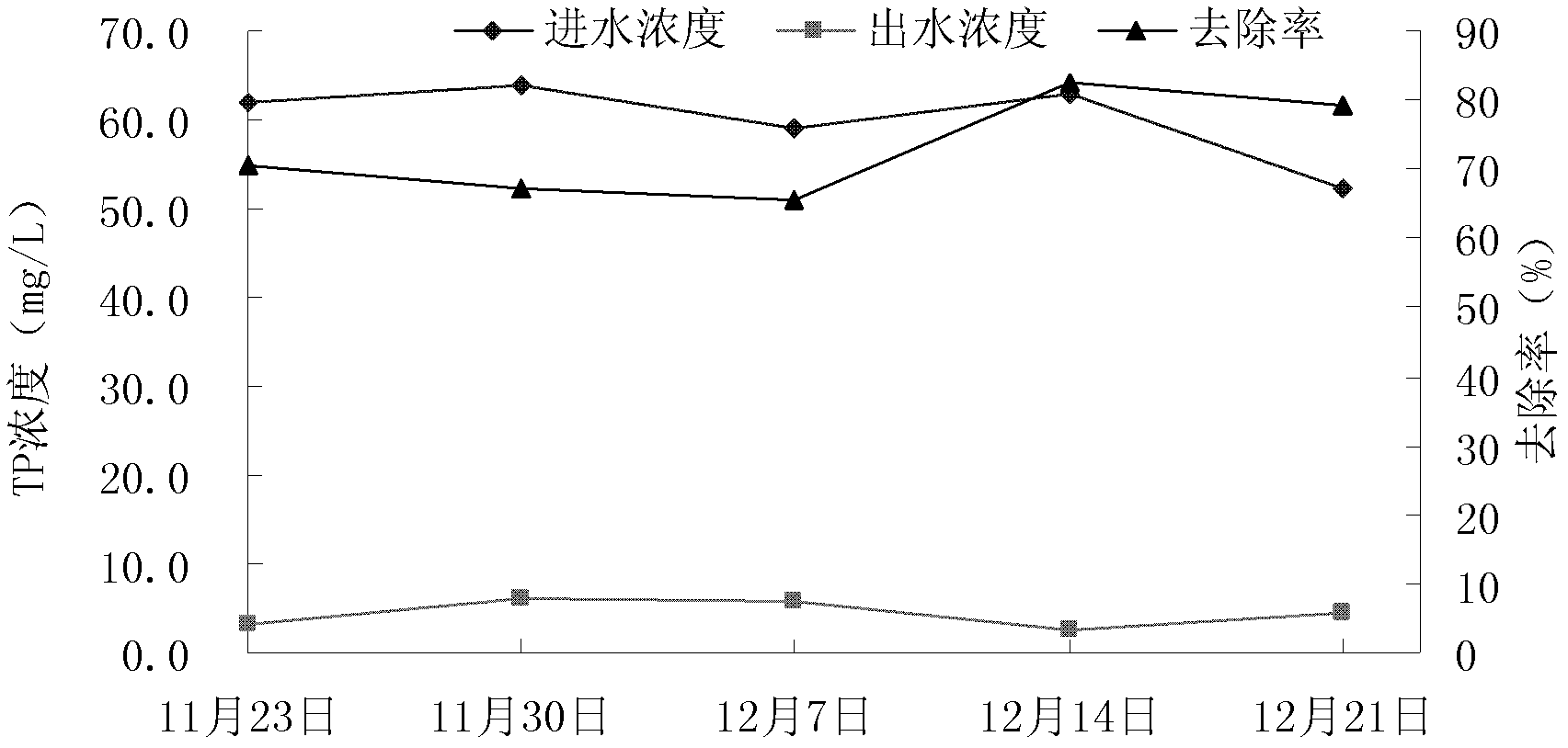 Application of Aglaonena Commutatum in purification of livestock and poultry breeding biogas slurry