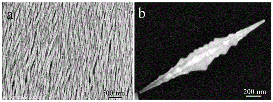 Bipyramid structure gold nanoparticle and preparation method thereof