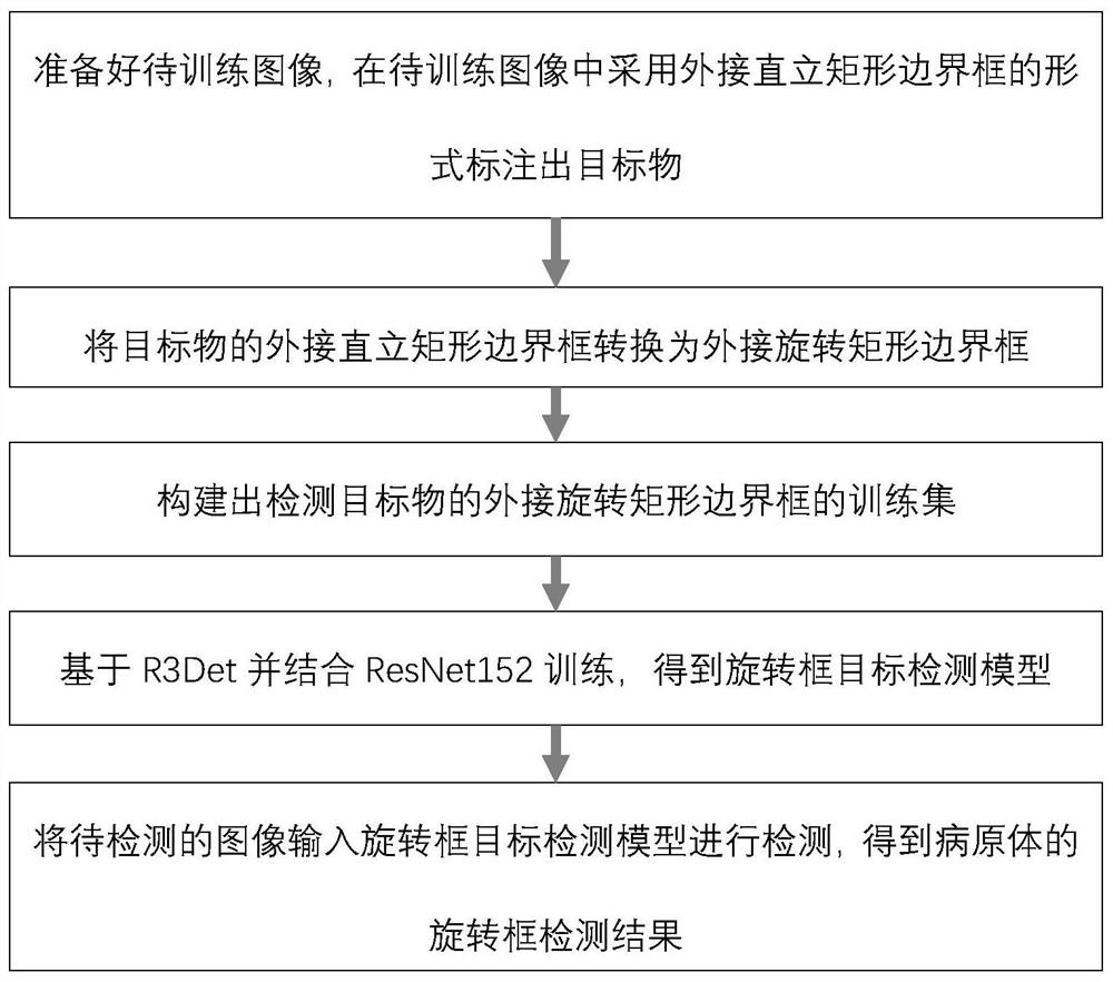 Rotating box object detection method for female vaginal pathogens based on r3det