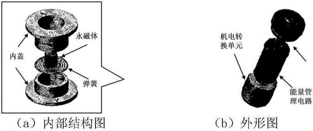 Single pendulum and piezoelectric effect-based composite energy collection-type human power generation device