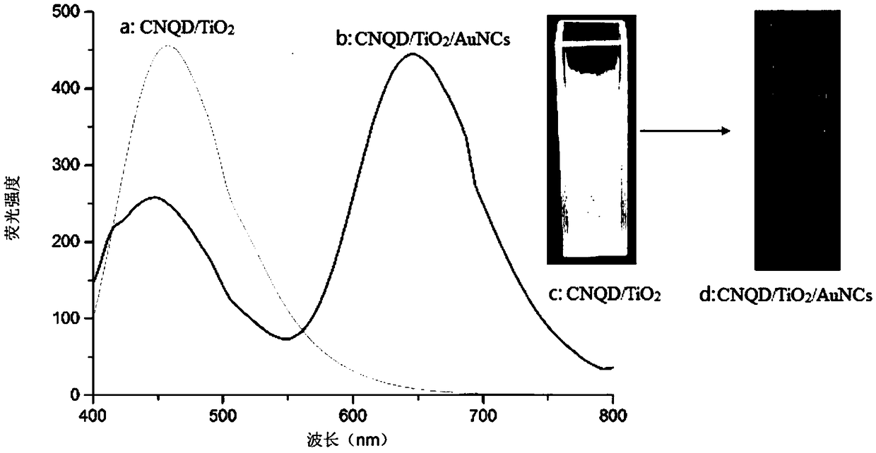 Preparation method and application of ratio-type CNQDs/TiO2/AuNCs composite fluorescent microsphere