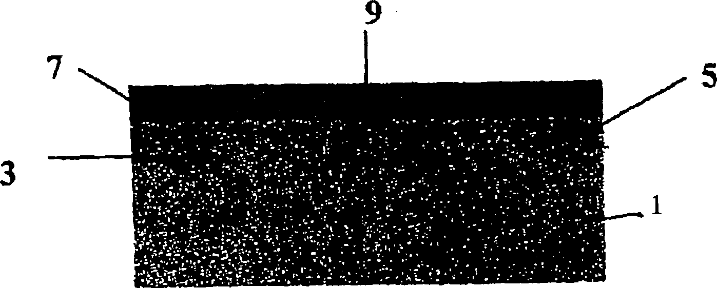 Method to obtain a corrosion-resistant and shiny substrate