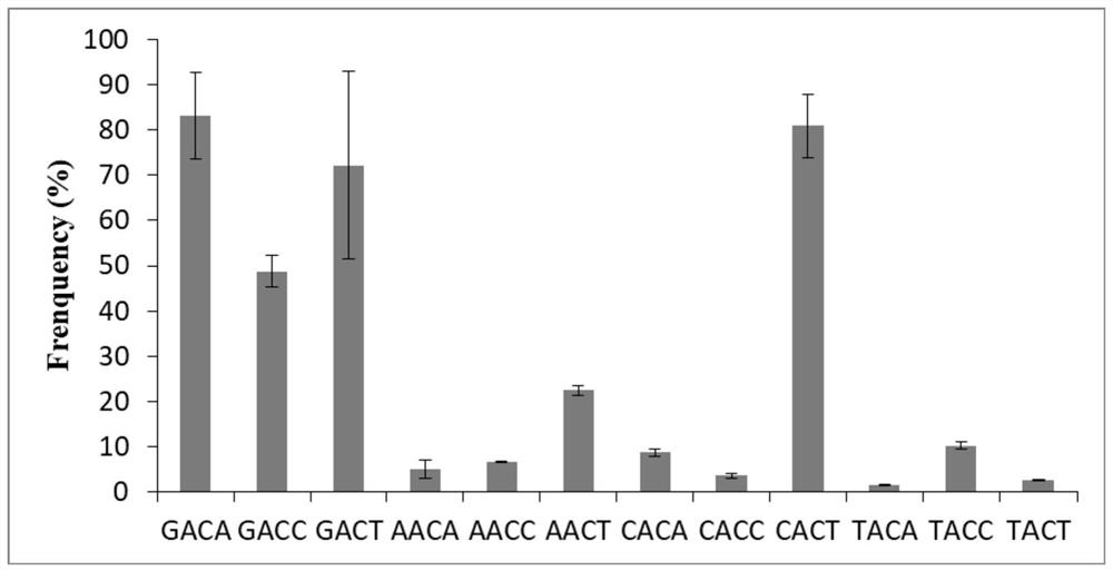 SpCas9-NRCH mutant for recognizing specific site in rice gene targeting and application of SpCas9-NRCH mutant