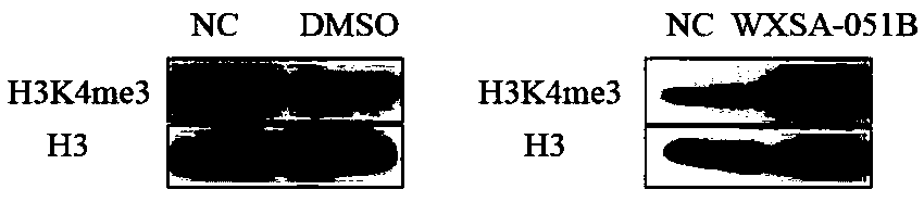 Pyridine compound and its preparation method and anti-gastric cancer application