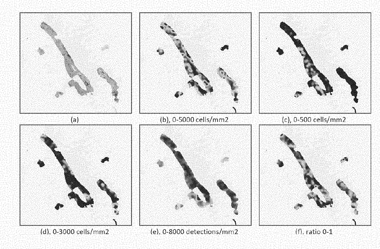 Quality Control of Automated Whole-slide Analyses