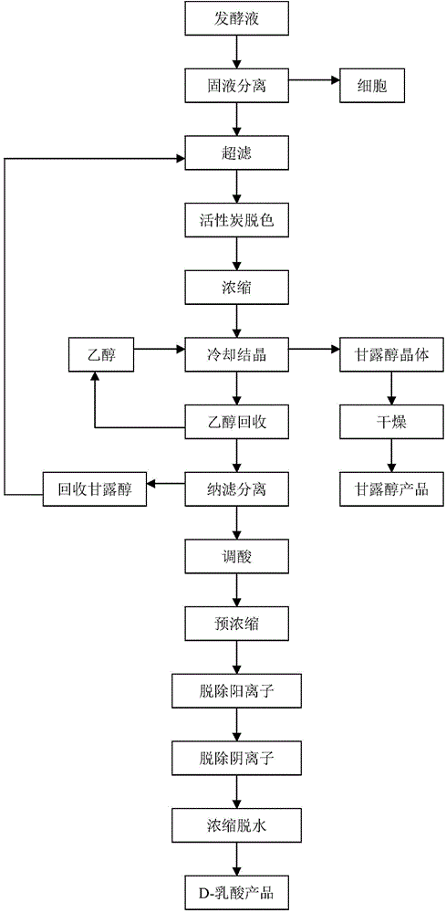 Method for combined production of mannitol and D-lactic acid by virtue of microorganism anaerobic fermentation