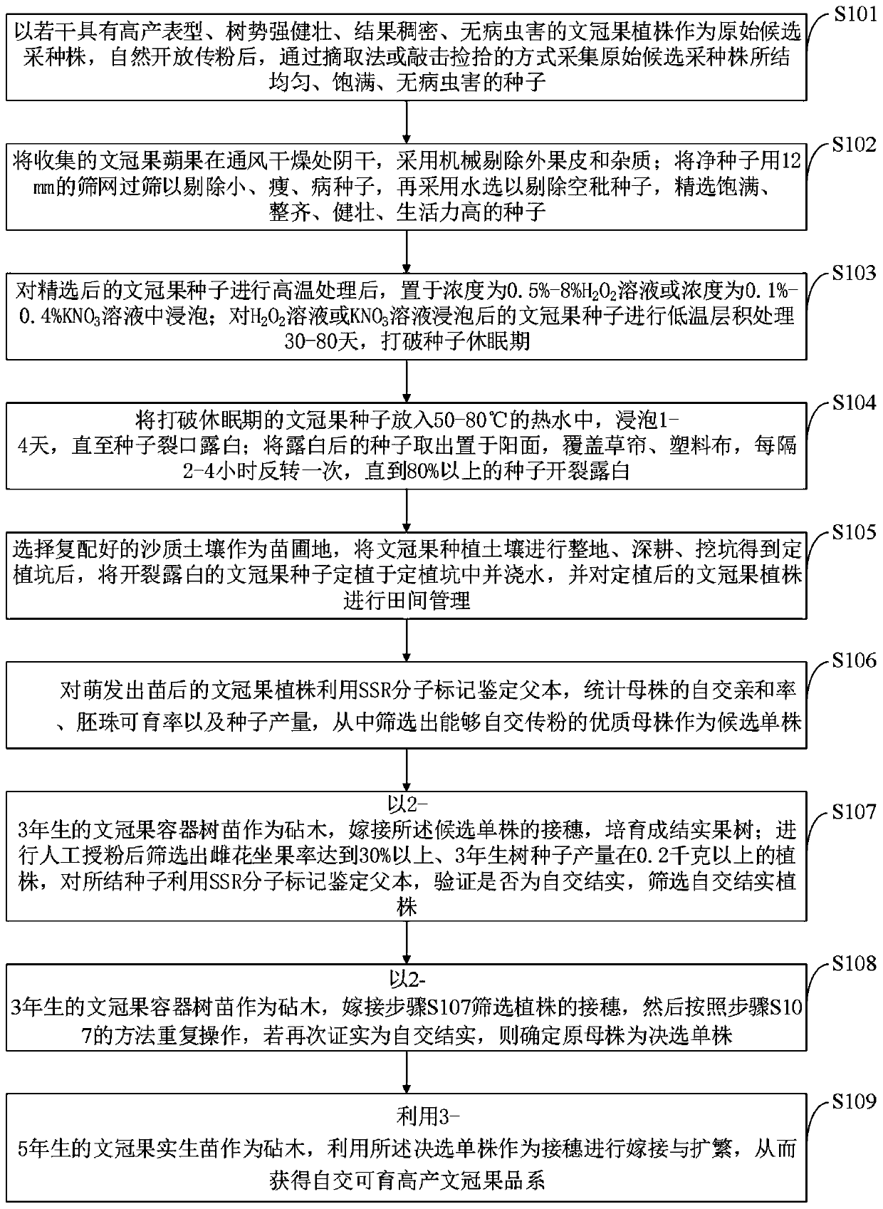 Method for breeding high-yield xanthoceras sorbifolia strain