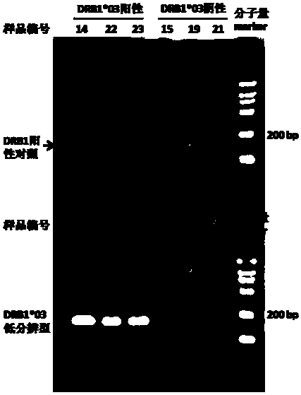 Method and kit for prognosis and guiding treatment of patients with laryngeal papilloma