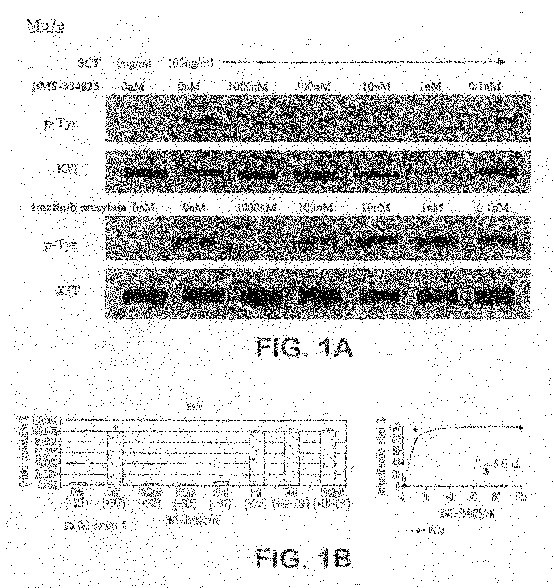 Methods of identifying and treating individuals exhibiting mutant kit protein