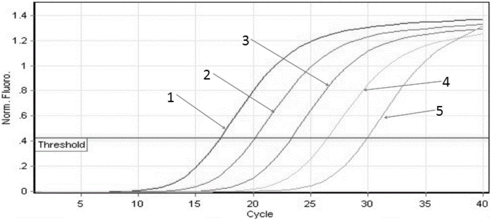 Toxoplasma gondii fluorogenic quantitative PCR (polymerase chain reaction) specific primer, kit and detecting method of toxoplasma gondii fluorogenic quantitative PCR specific primer