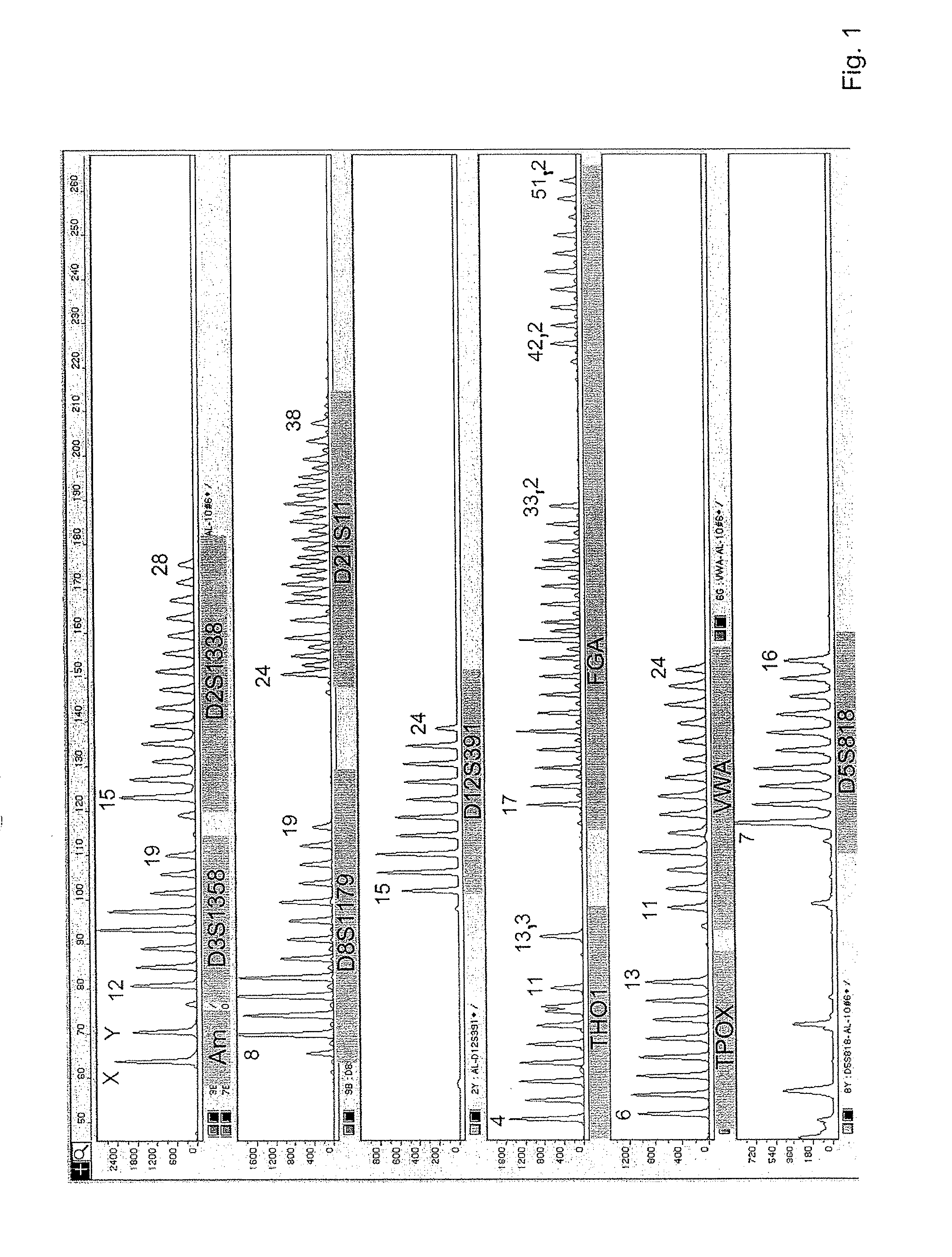 Method for Typing an Individual Using Short Tandem Repeat (Str) Loci of the Genomic Dna