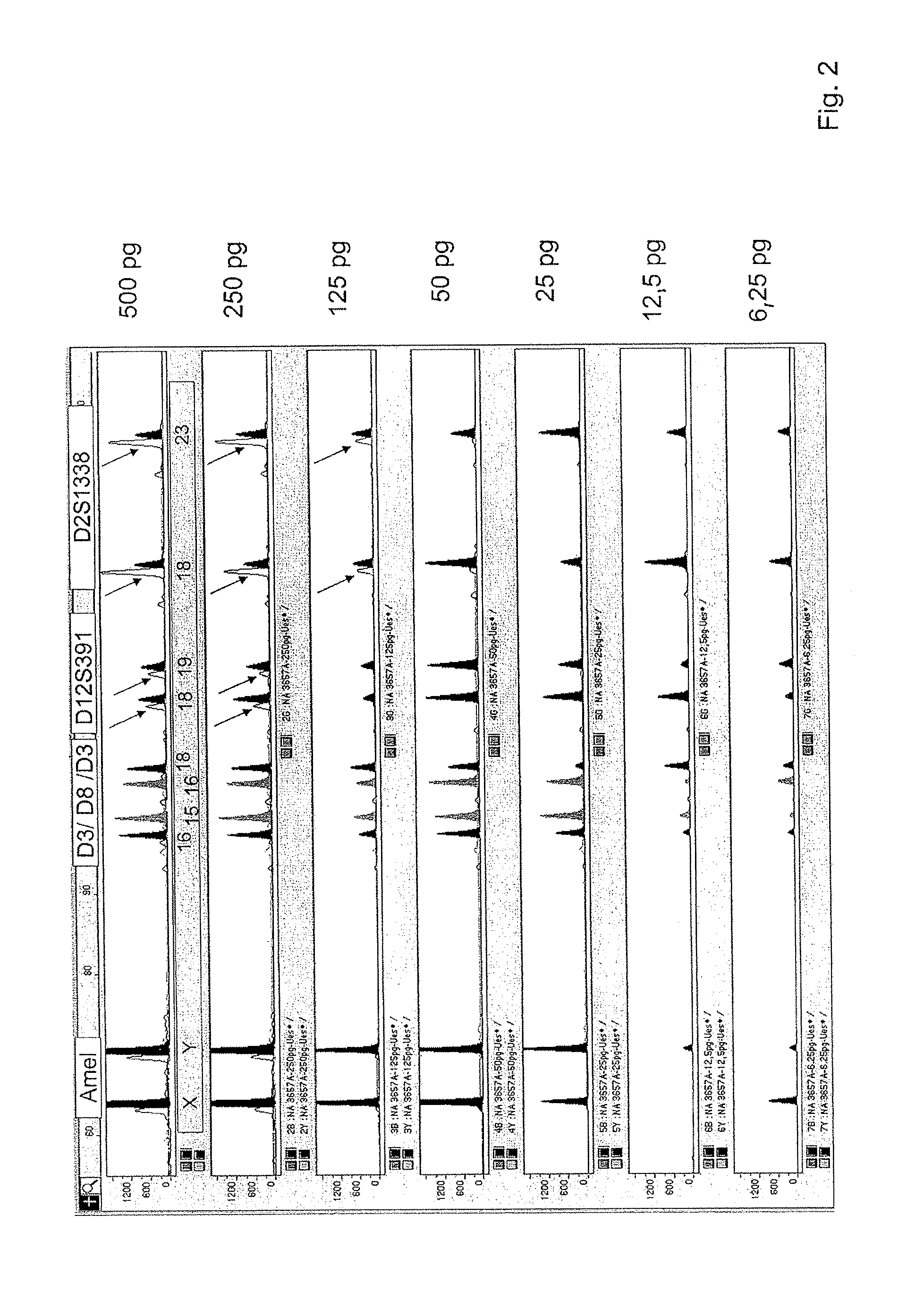 Method for Typing an Individual Using Short Tandem Repeat (Str) Loci of the Genomic Dna