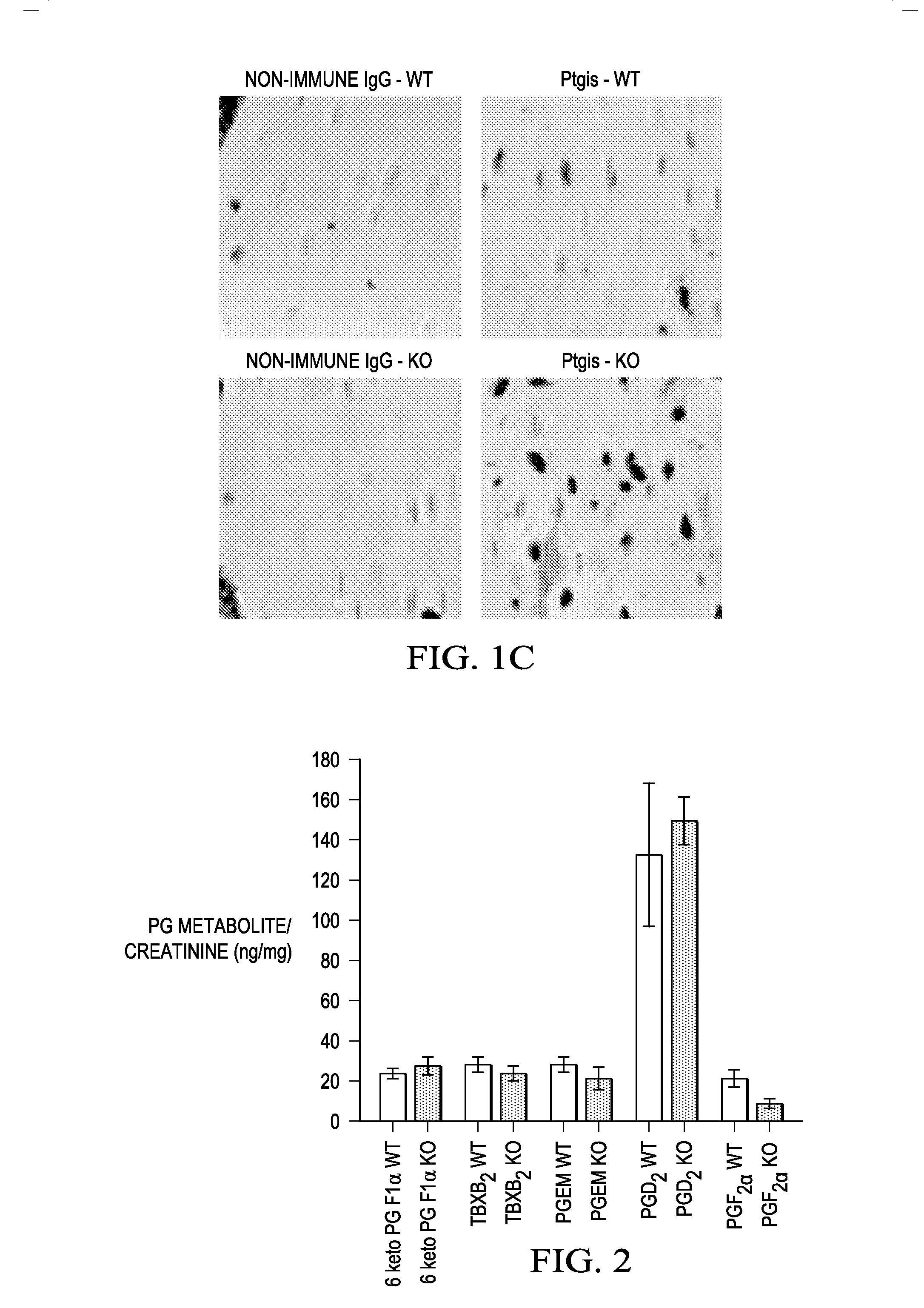 Prostacyclin compositions for regulation of fracture repair and bone formation