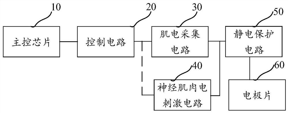 Myoelectric signal collector and rehabilitation system