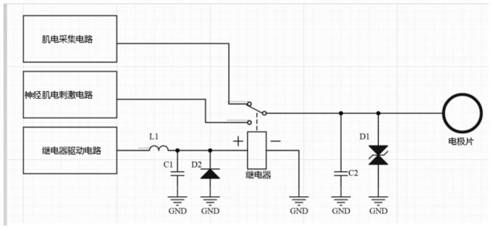 Myoelectric signal collector and rehabilitation system