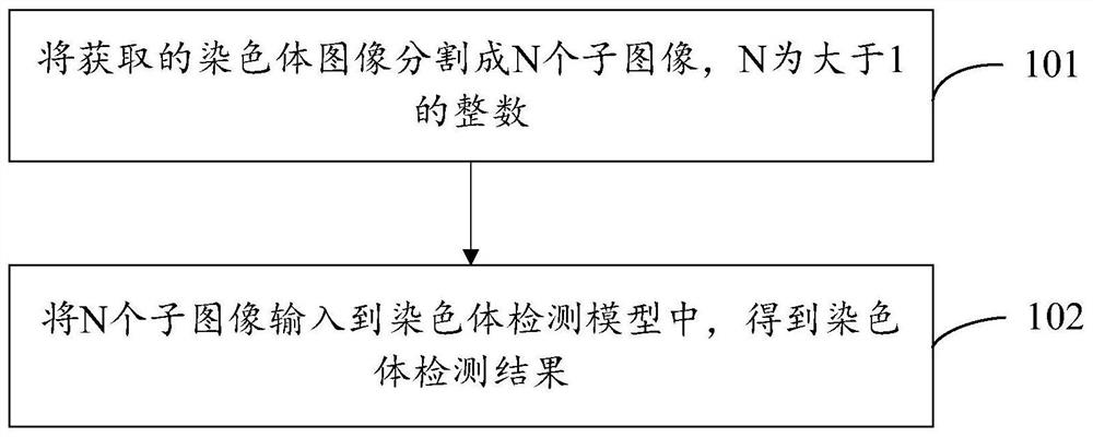 Chromosome detection method and device and electronic equipment