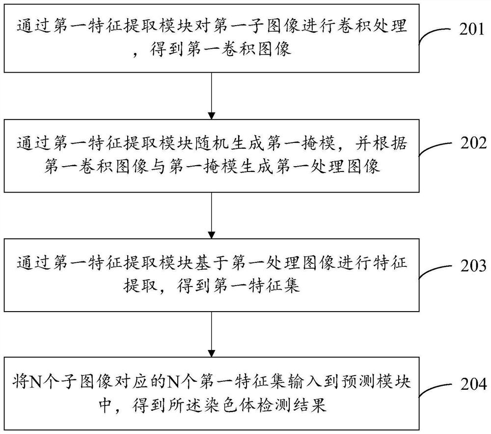 Chromosome detection method and device and electronic equipment