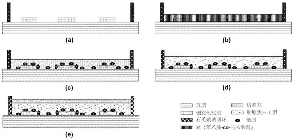 Impedance sensing method for monitoring population cell invasion in three-dimensional matrix