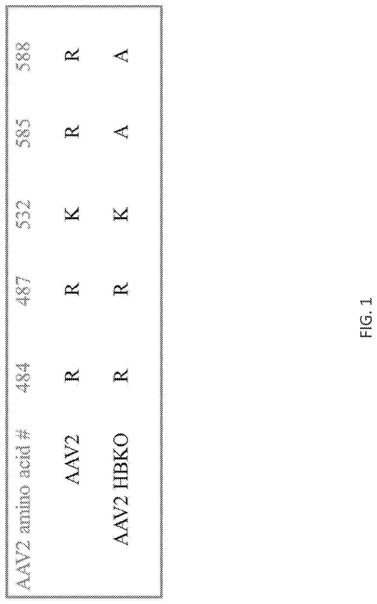 AAV vectors for retinal and CNS gene therapy