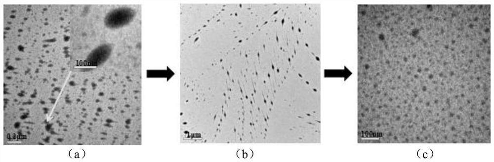 Tea saponin shampoo and preparation method thereof