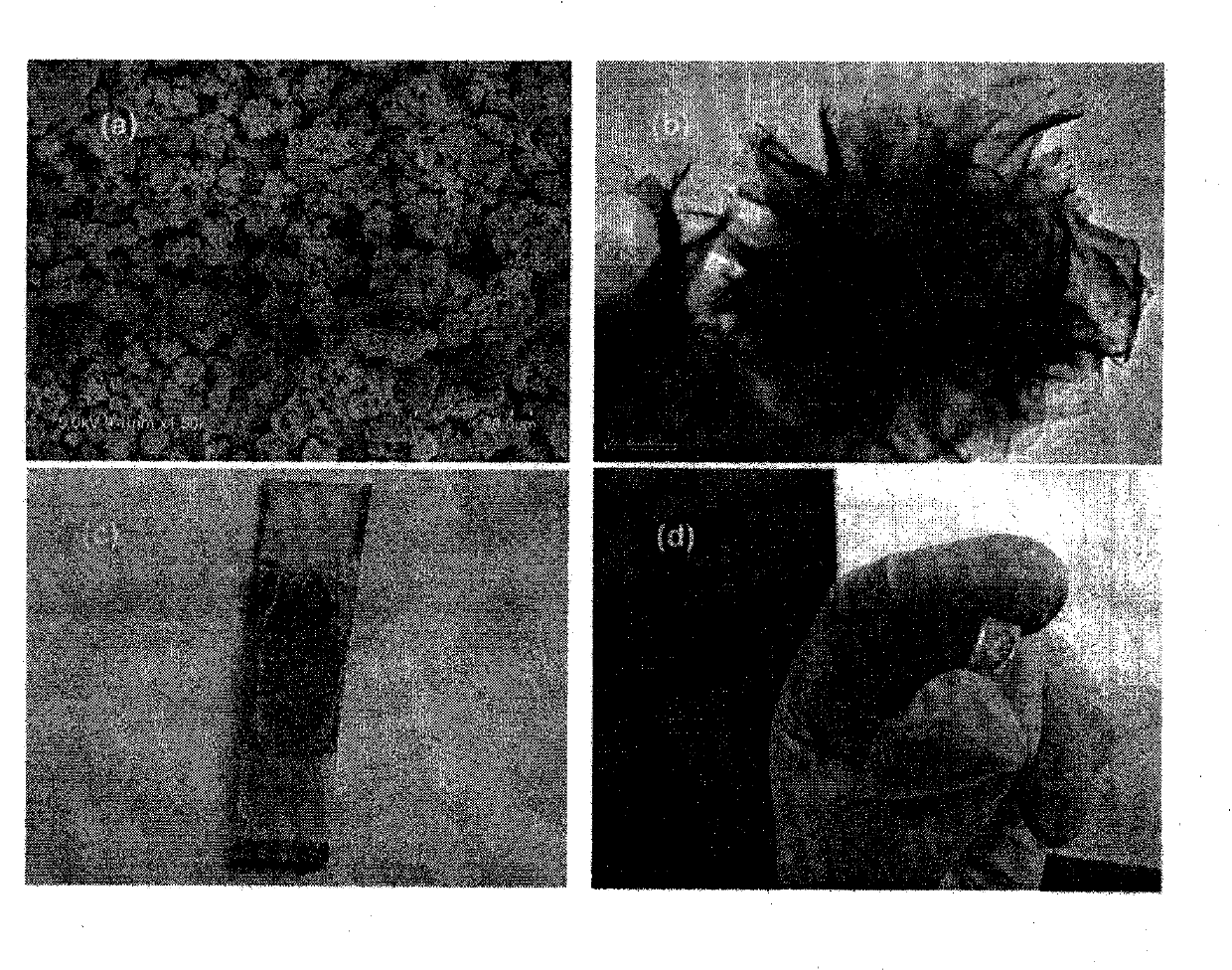 Tin sulfide nano paper self-assembly microsphere production method and optical detector of microsphere film