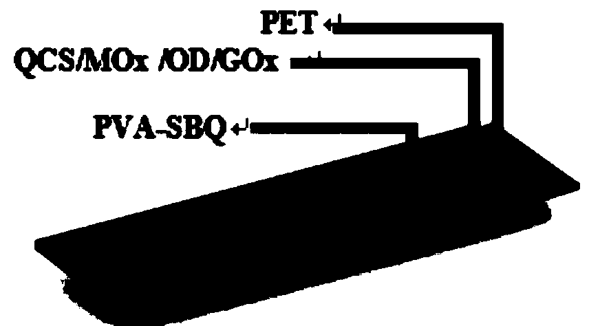 Flexible electrochemical glucose sensor and preparation method thereof