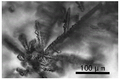 Polyaspartic acid type grafted copolymer and preparation method thereof