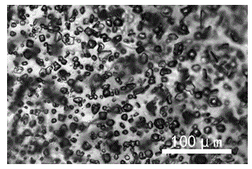 Polyaspartic acid type grafted copolymer and preparation method thereof