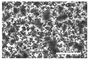 Polyaspartic acid type grafted copolymer and preparation method thereof