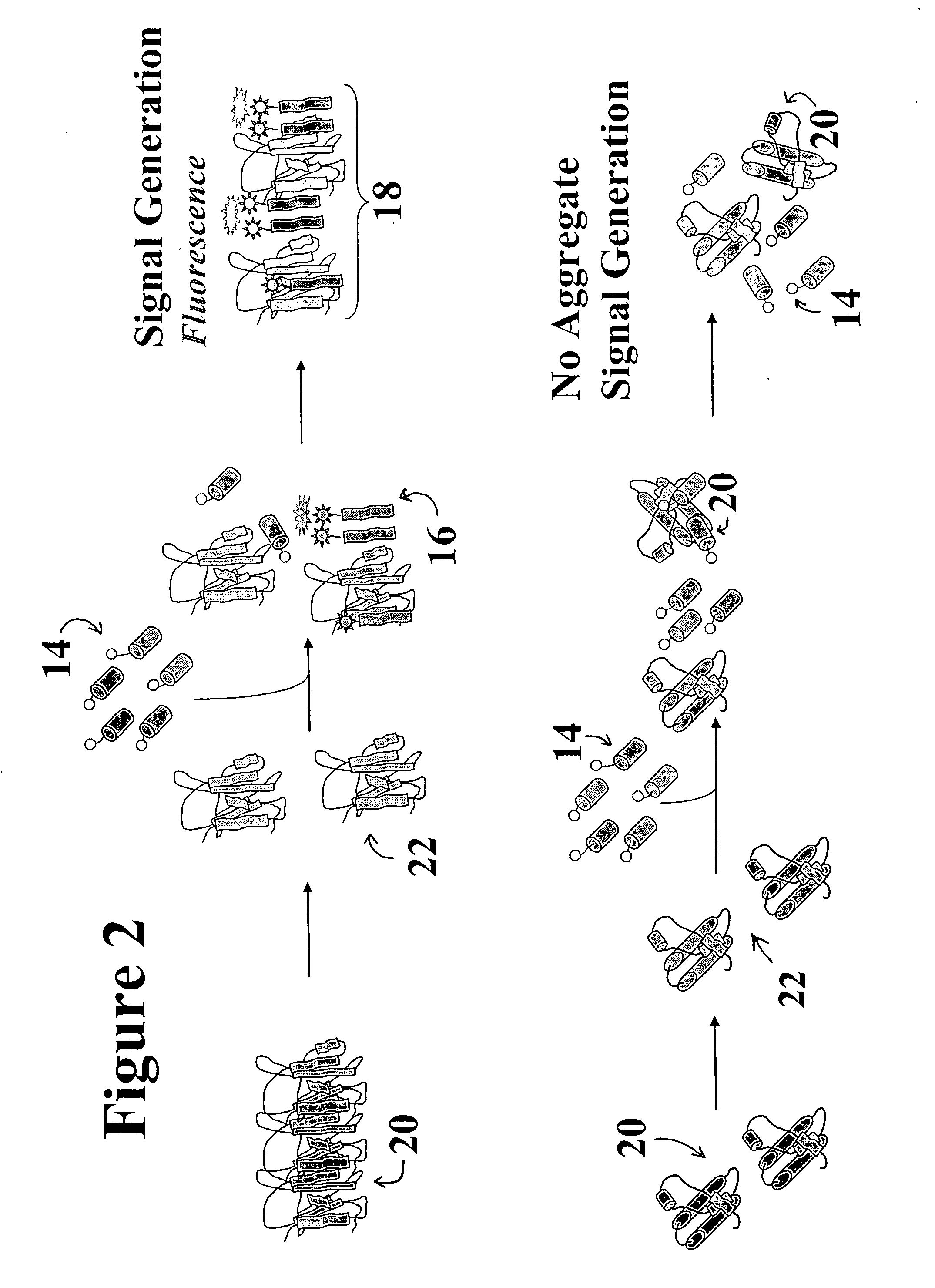 Misfolded protein sensor method