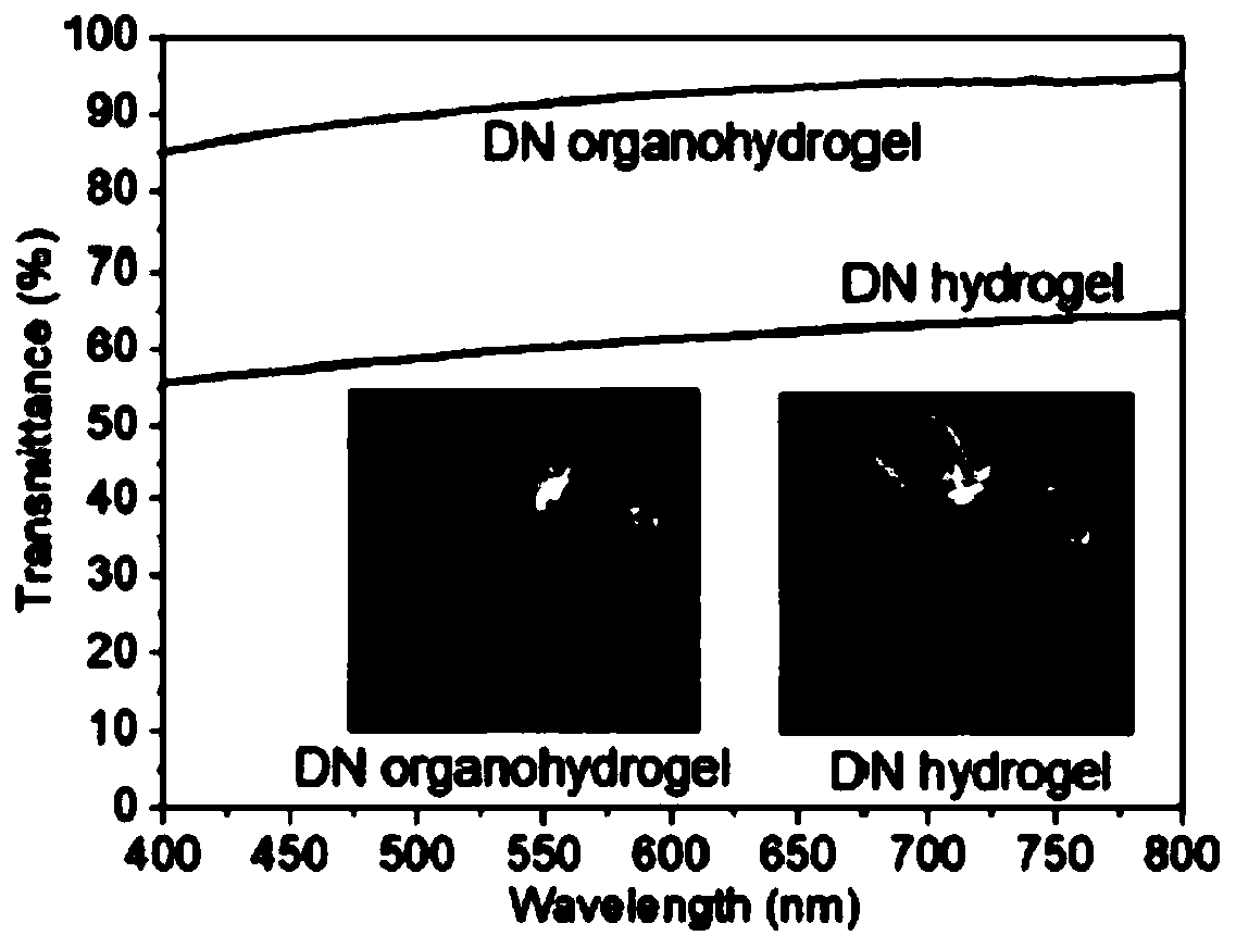 Preparation method of anti-freezing organic-hydrogel with reversible adhesion and self-healing properties