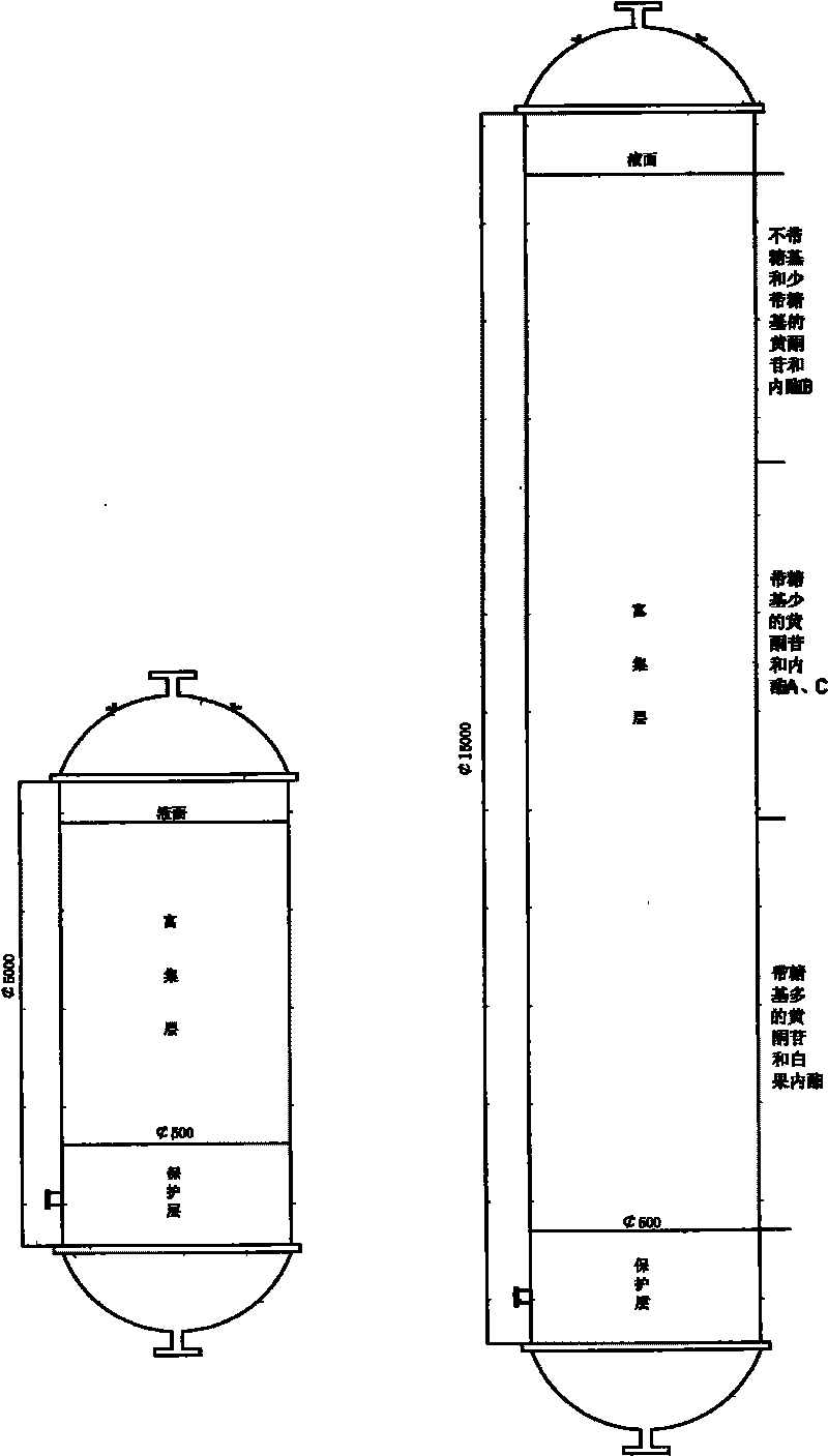 Process for producing ginkgo extract