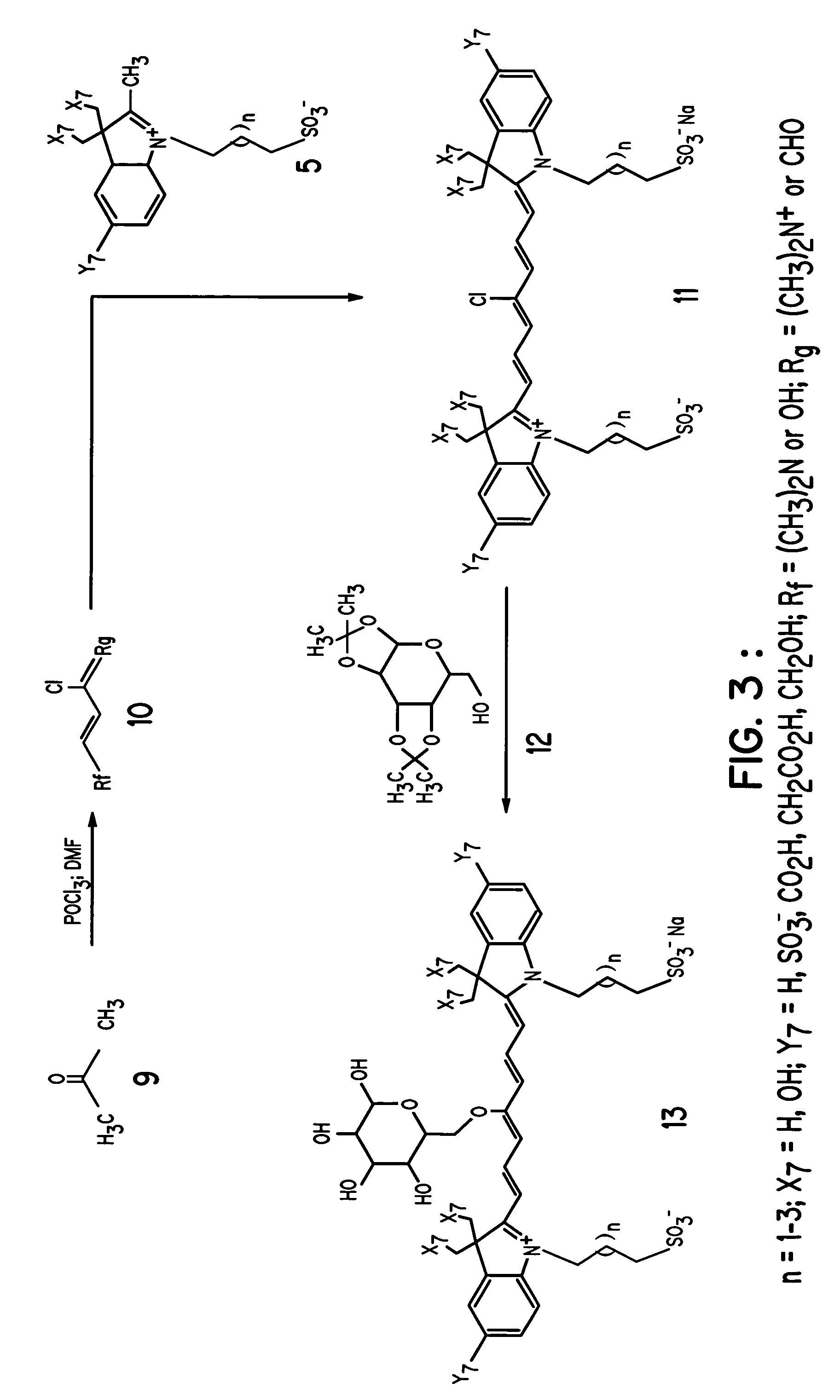 Hydrophilic light absorbing compositions for determination of physiological function