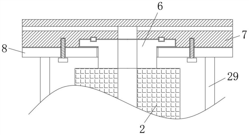 Bird repelling device for rice planting