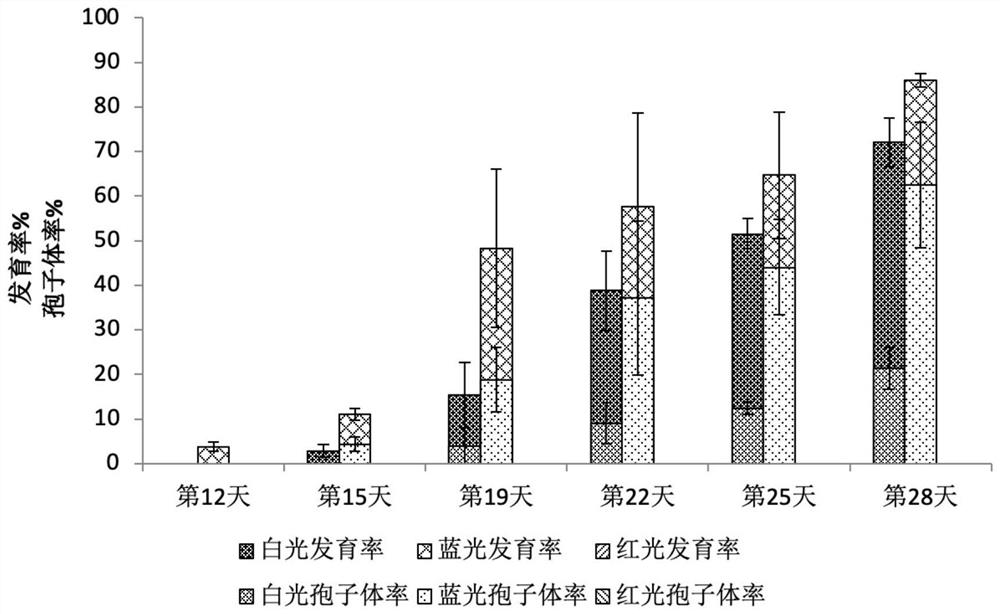 Method for promoting rapid development of gametophytes of chelmydomonas palustris