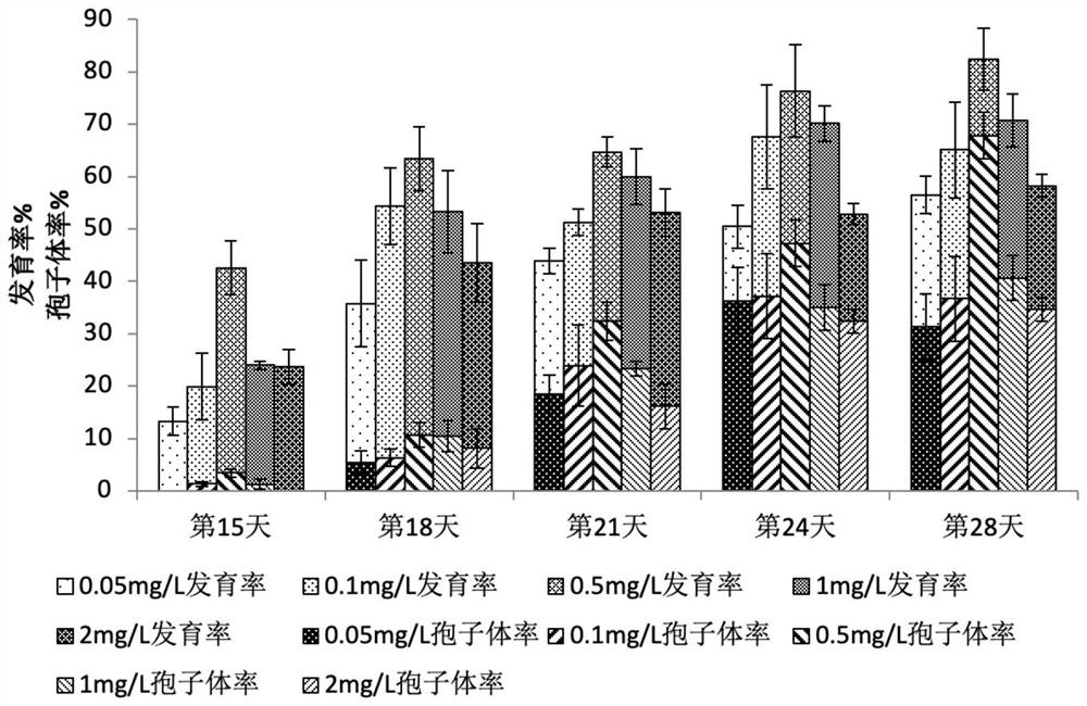 Method for promoting rapid development of gametophytes of chelmydomonas palustris