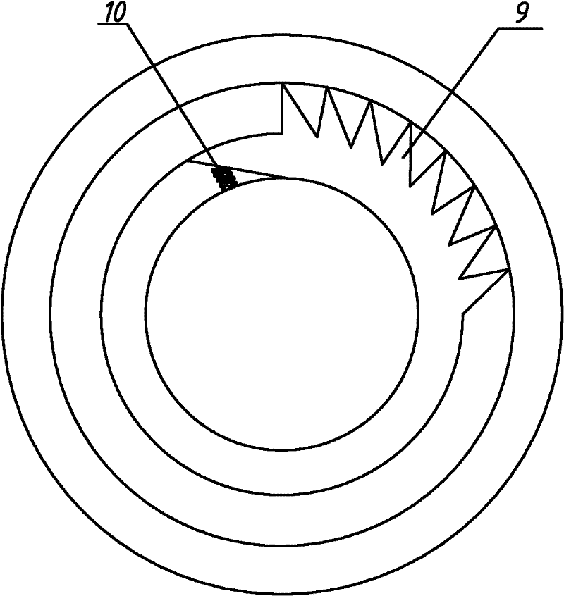 Safety device for automobile