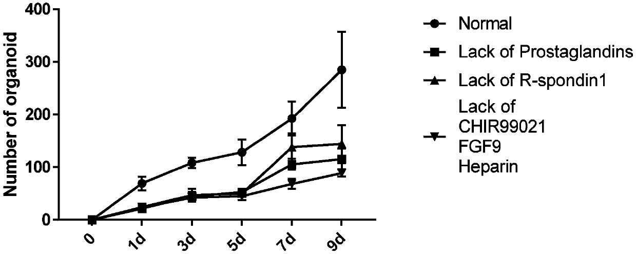 Culture medium and organoid culture method for 3D culture of kidney tissue organoids