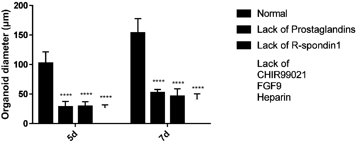 Culture medium and organoid culture method for 3D culture of kidney tissue organoids